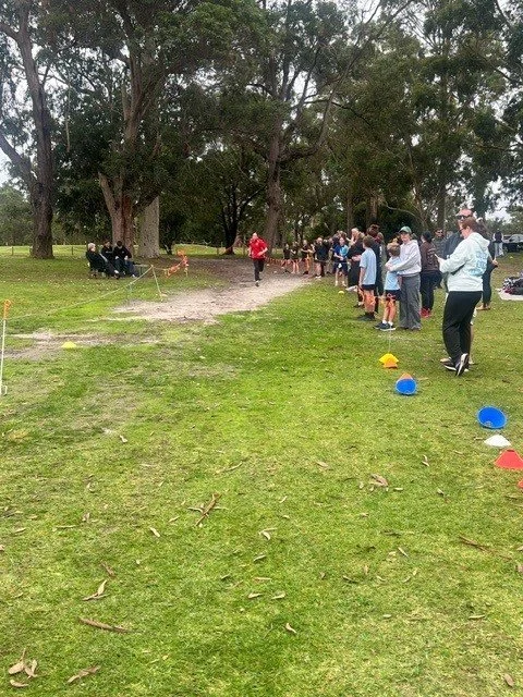 cross_country02.jpg