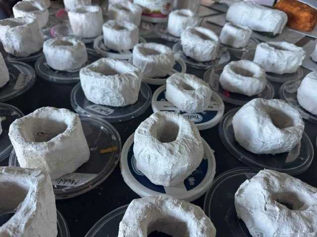 ART_plaster03.jpg