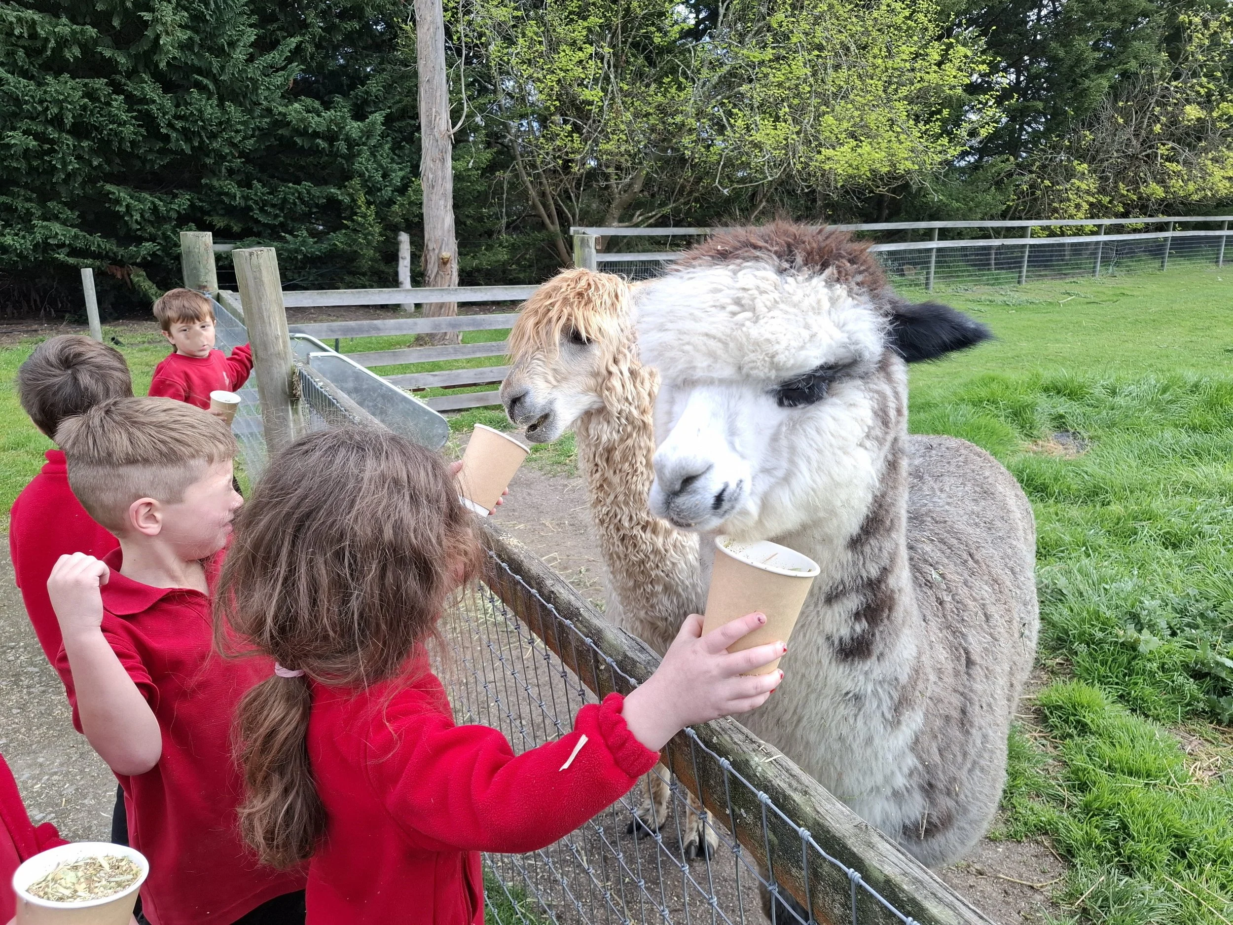 Prep_Farm_excursion01.jpg