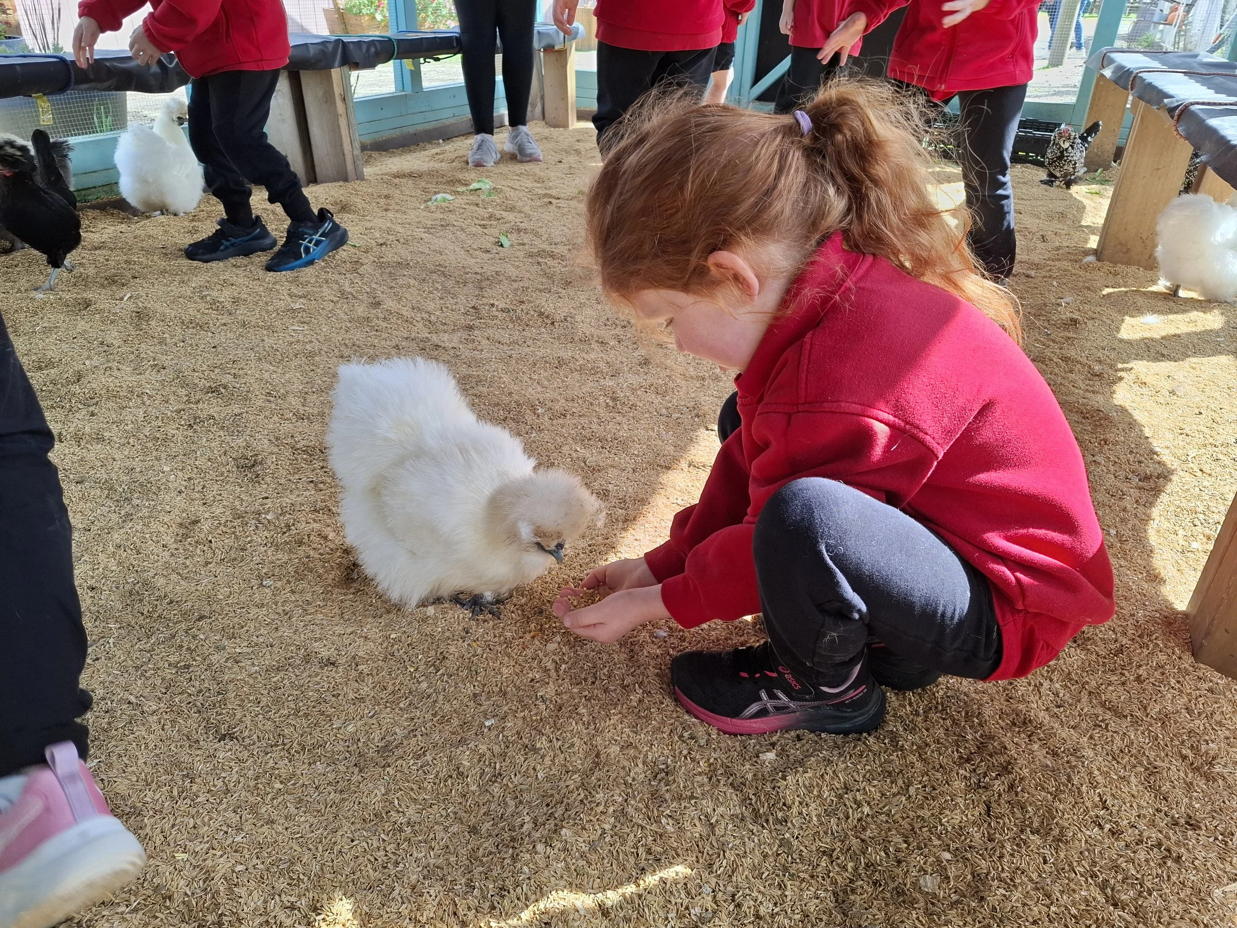 Prep_farm_excursion03.jpg