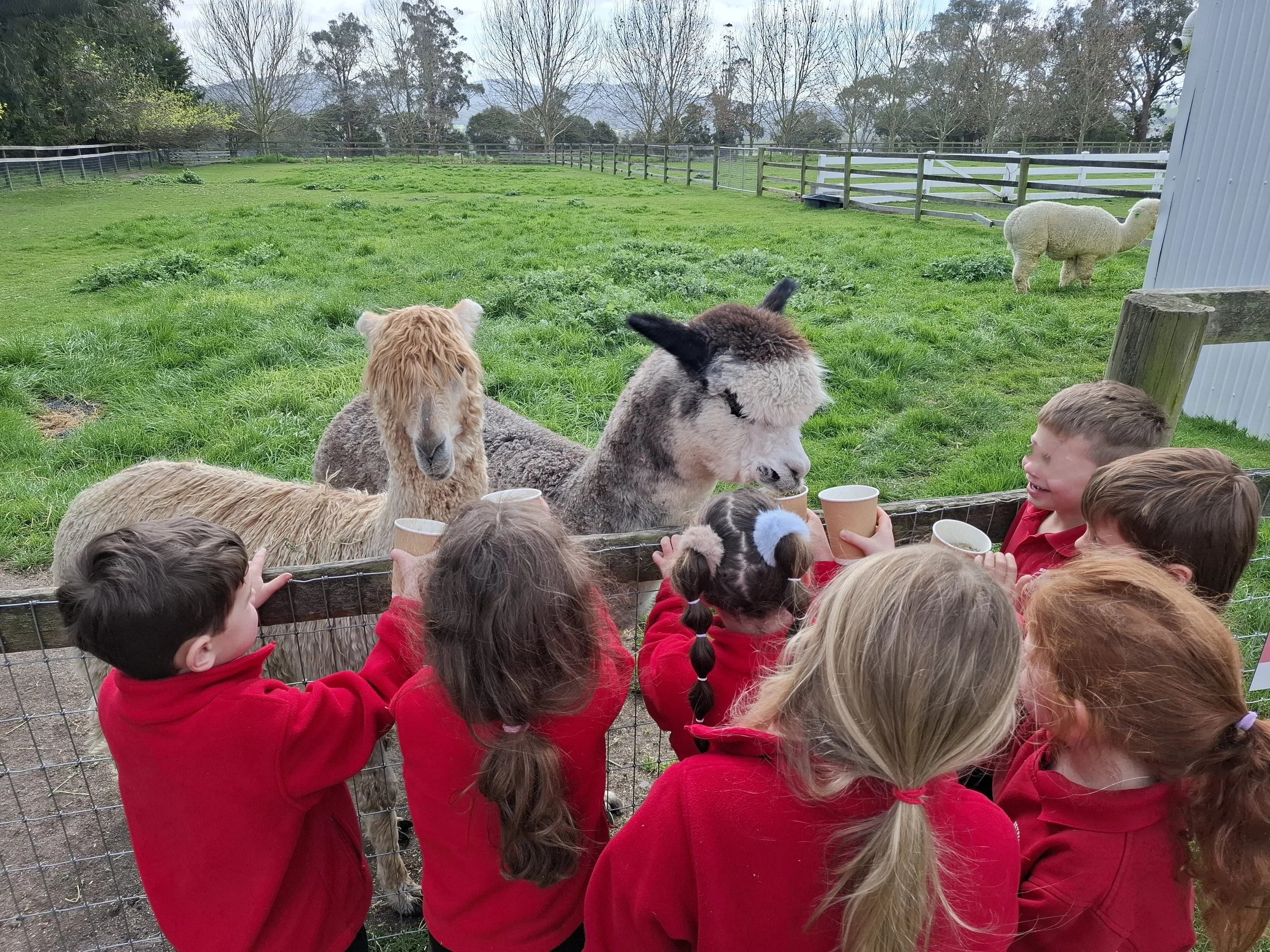 Prep_farm_excursion08.jpg