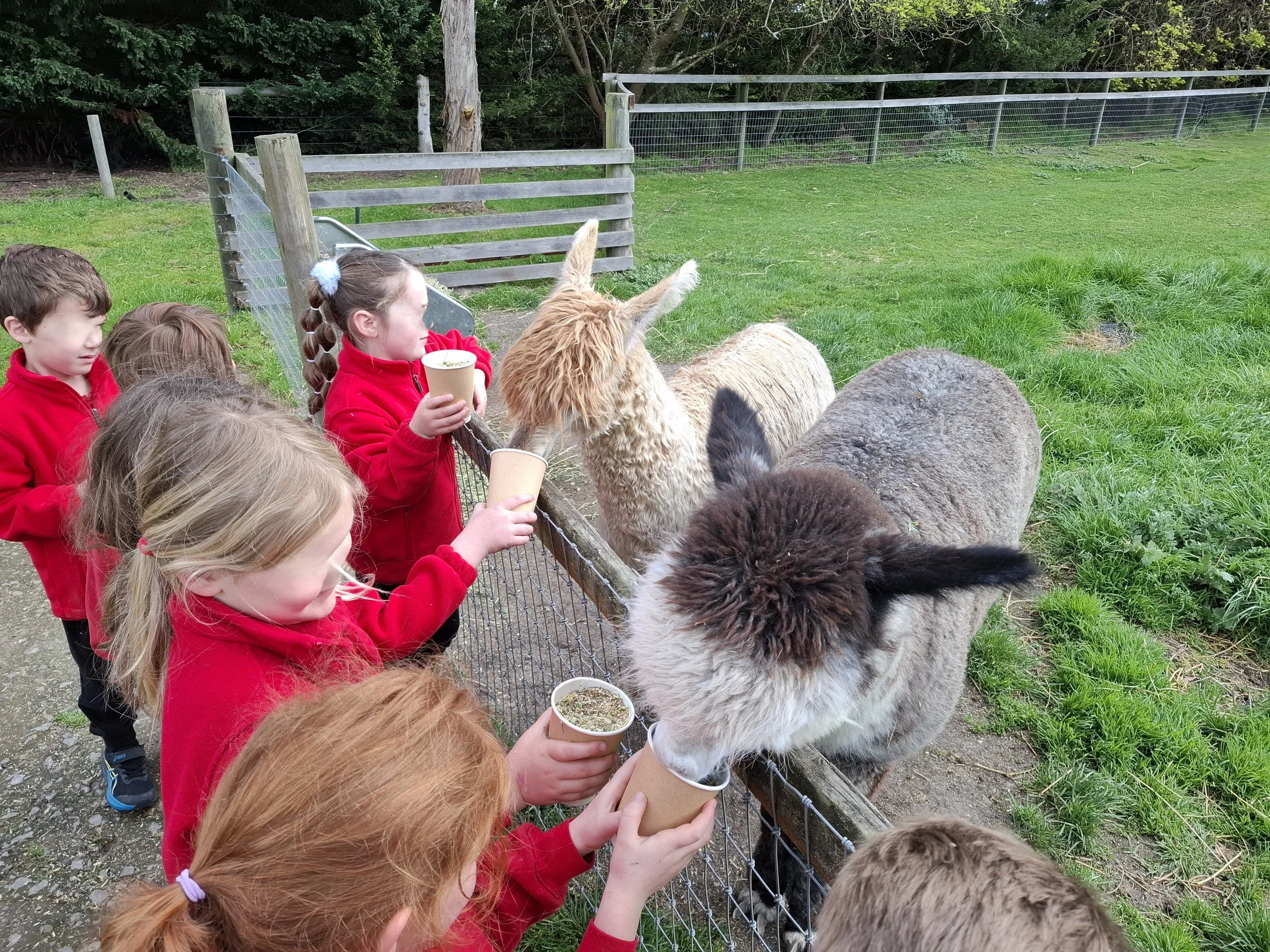 Prep_farm_excursion09.jpg