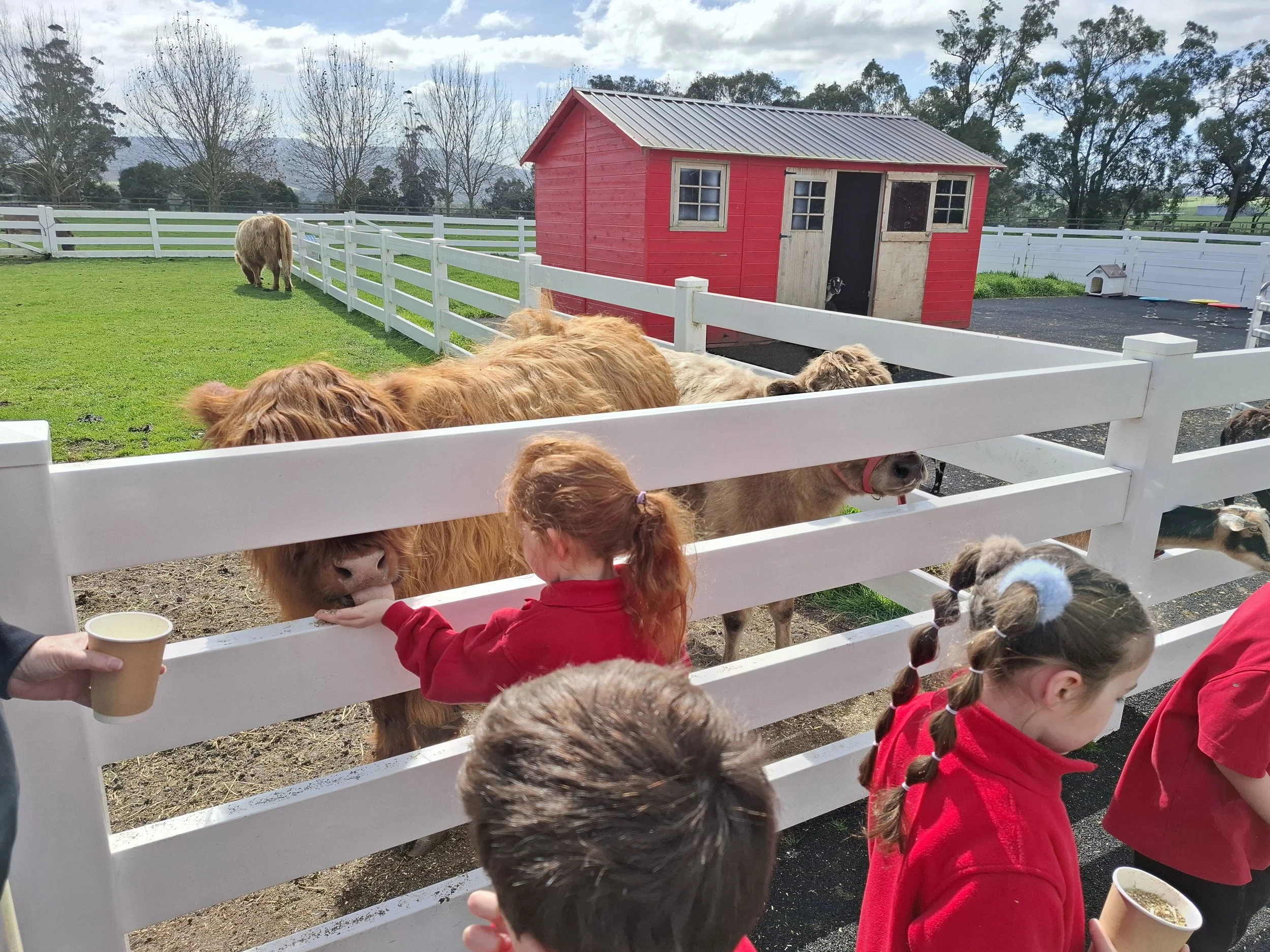 Prep_farm_excursion11.jpg