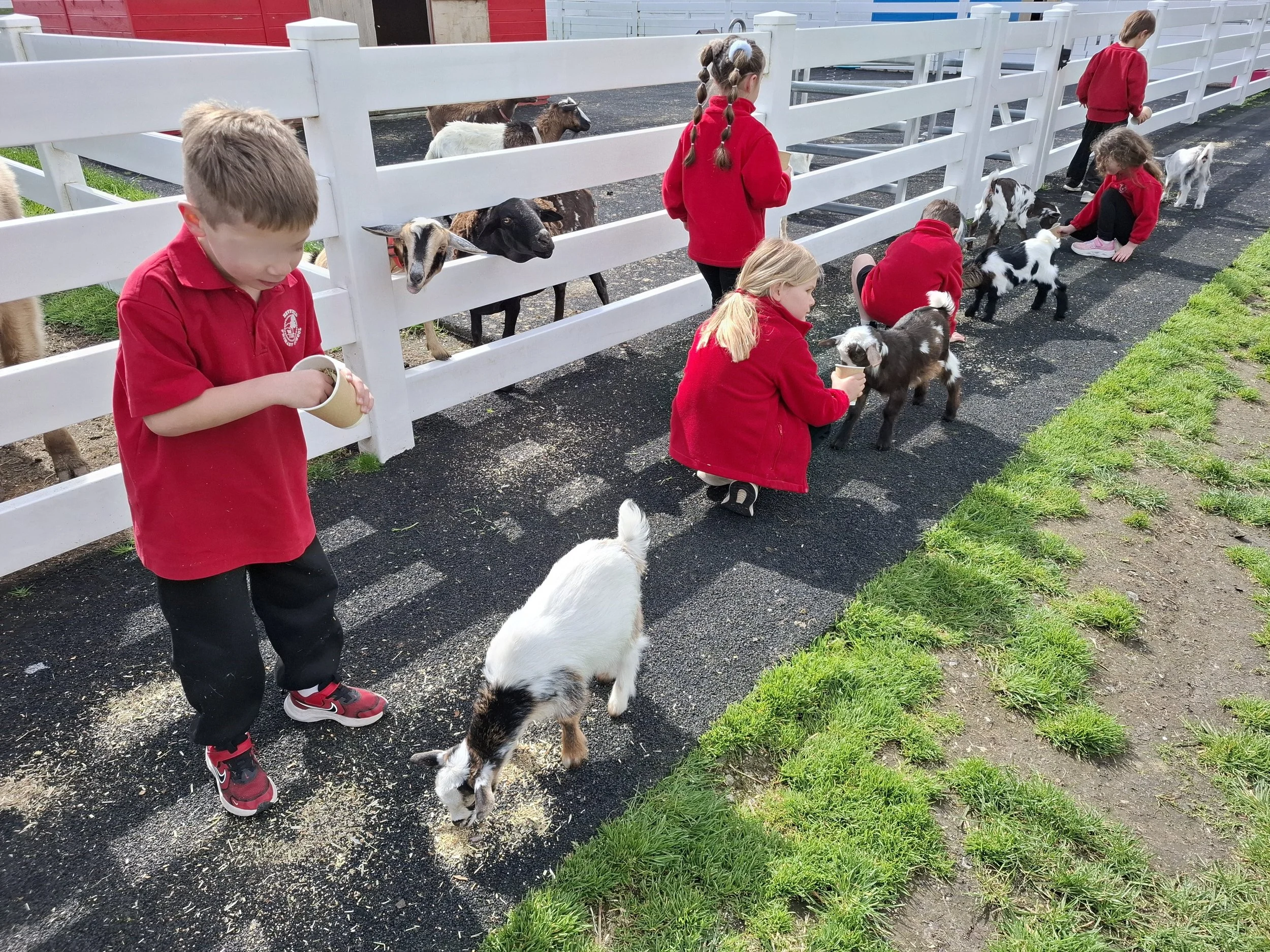 Prep_farm_excursion12.jpg