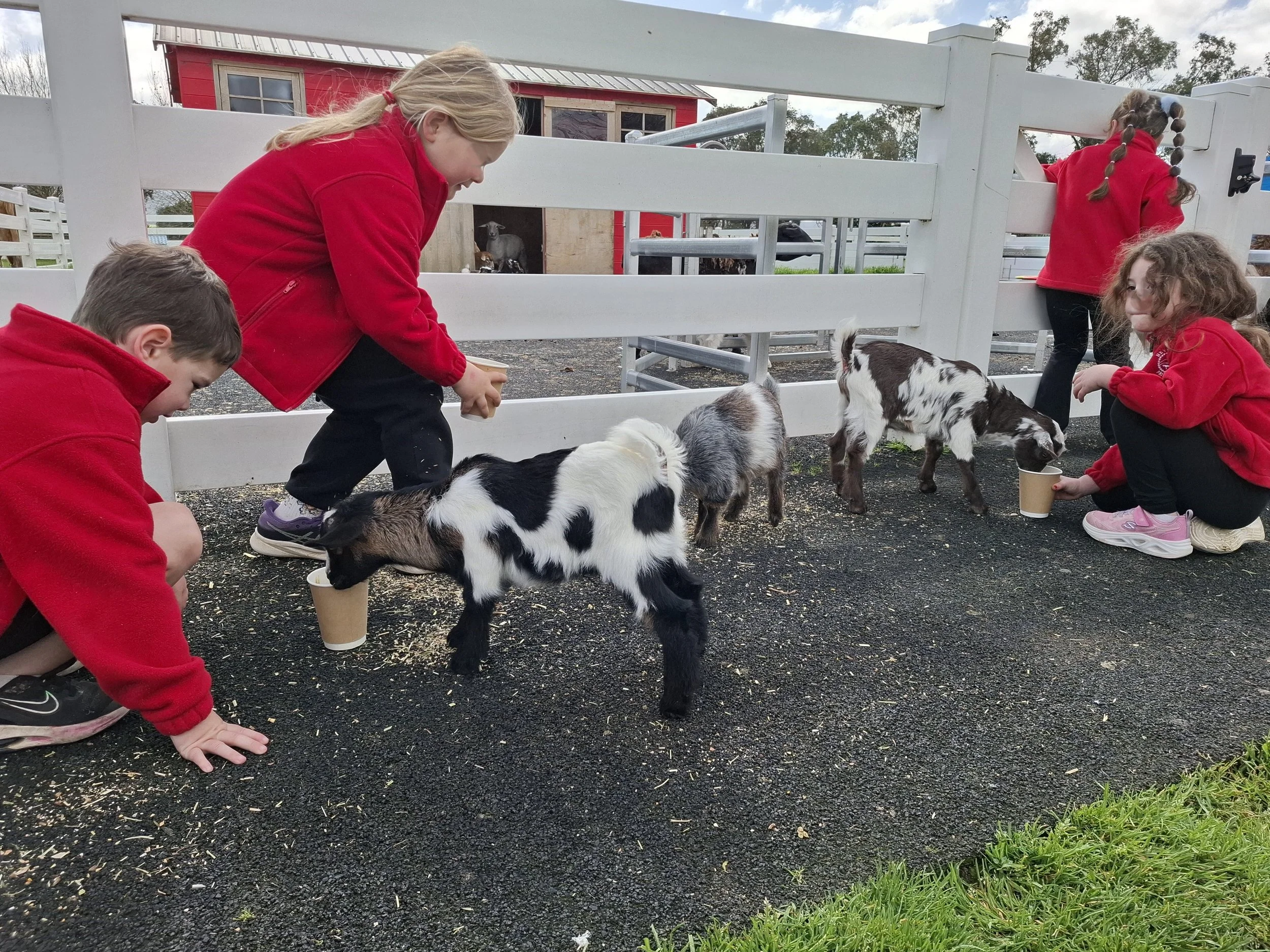 Prep_farm_excursion13.jpg