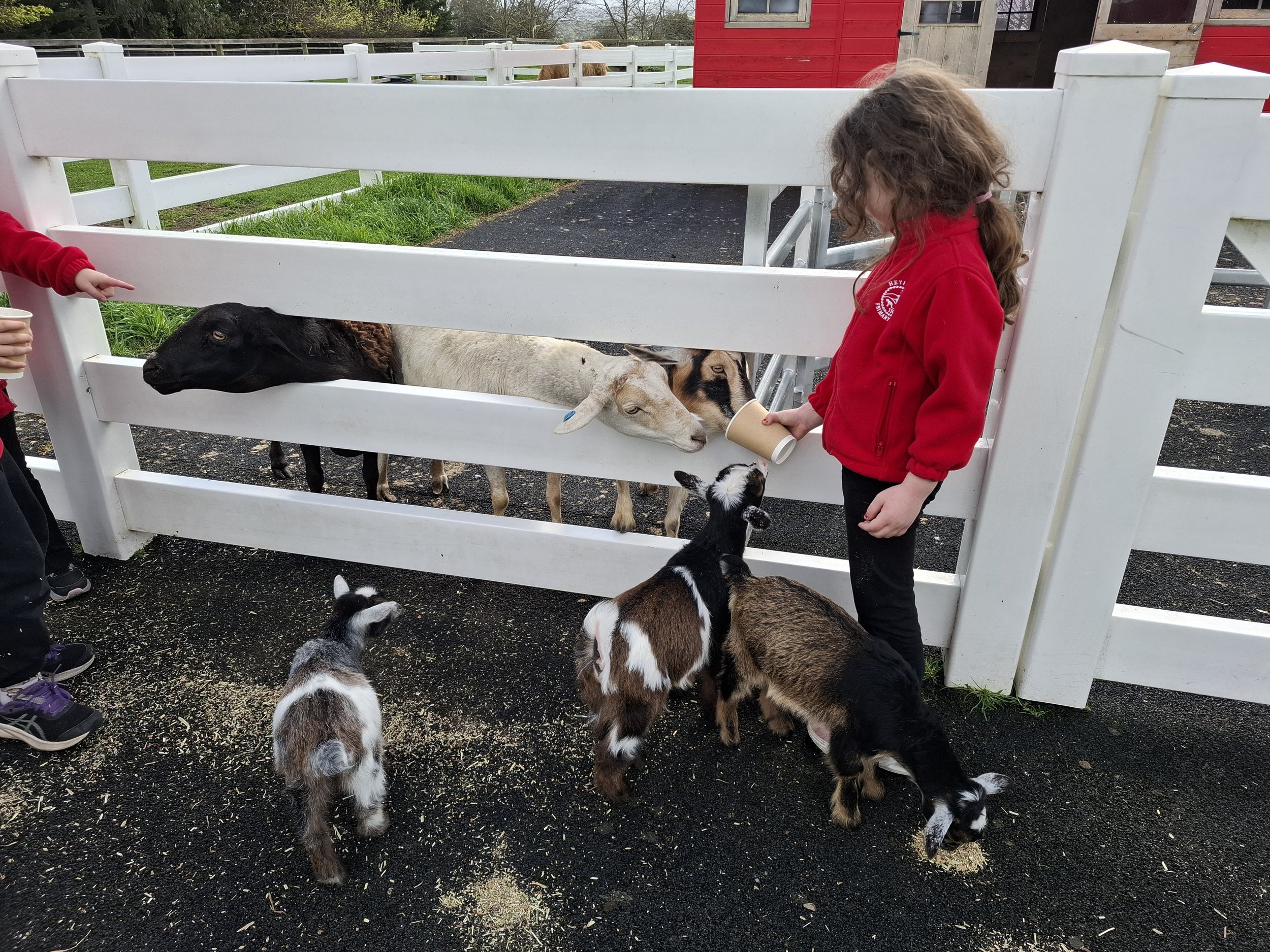 Prep_farm_excursion14.jpg