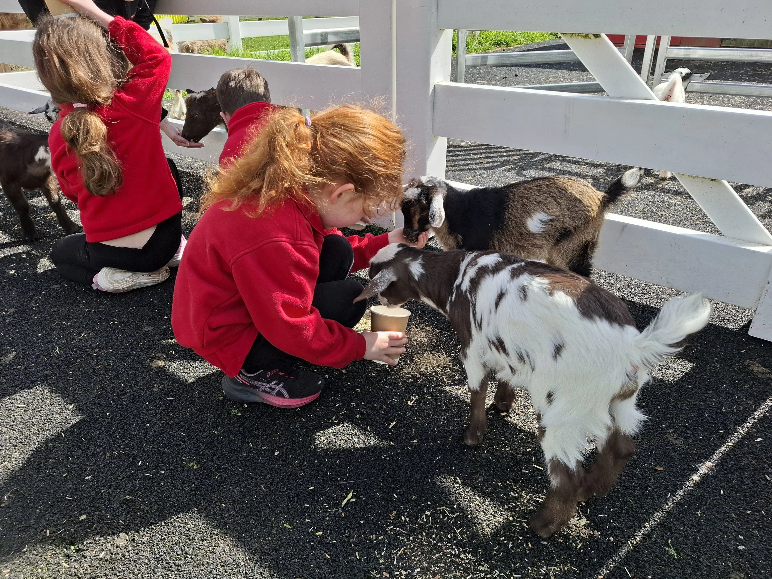 Prep_farm_excursion15.jpg