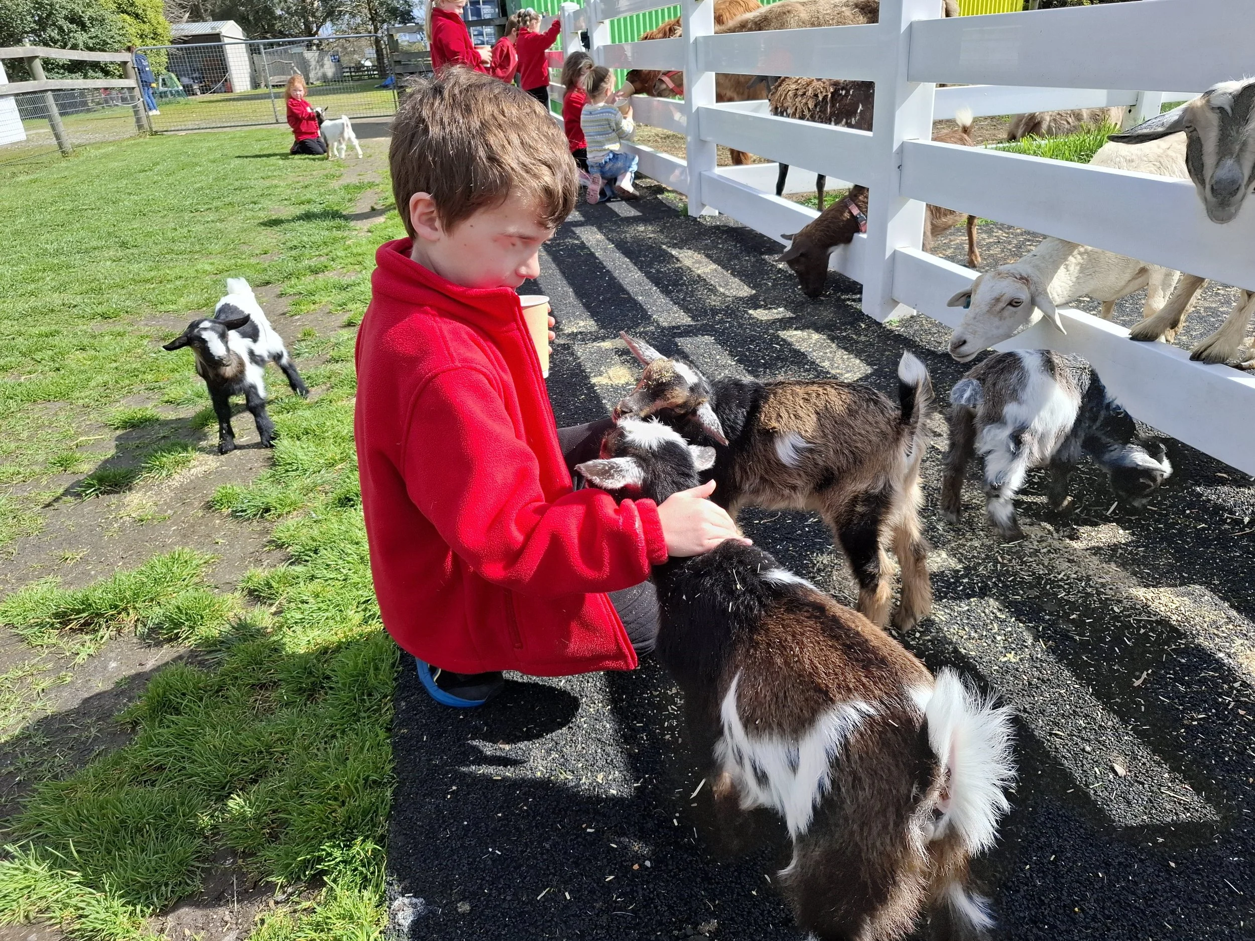 Prep_farm_excursion16.jpg