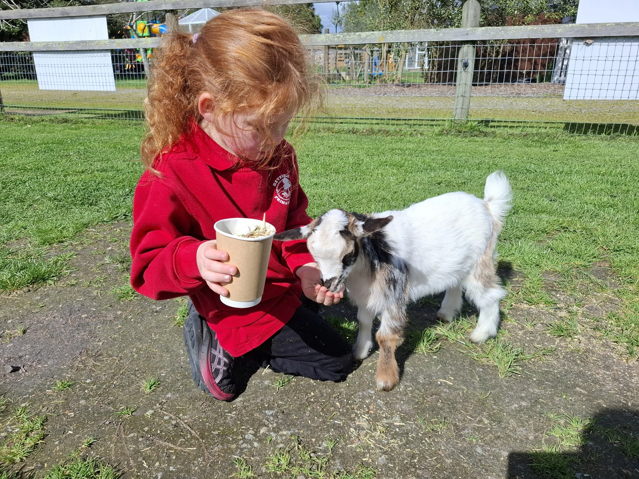 Prep_farm_excursion17.jpg