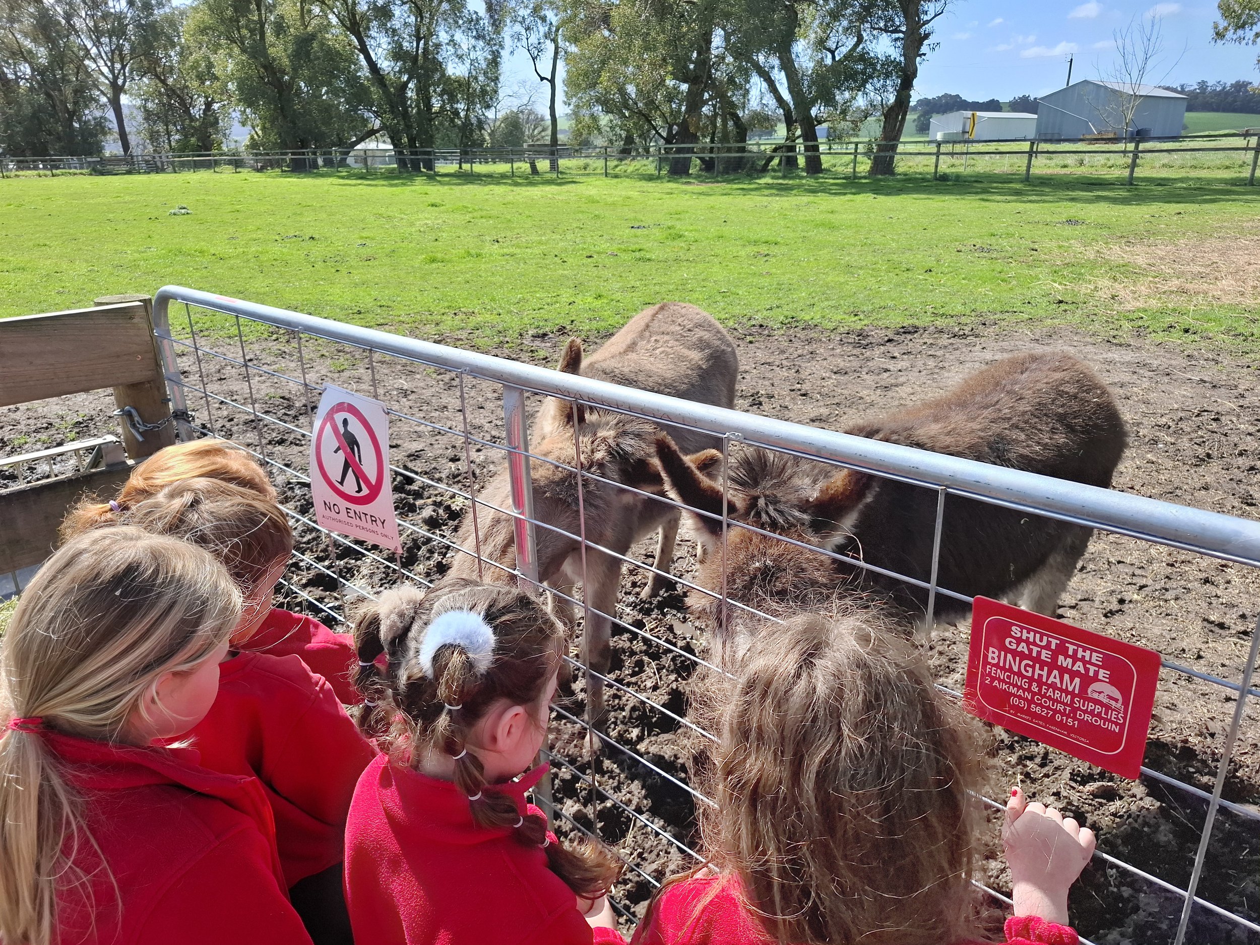 Prep_farm_excursion19.jpg