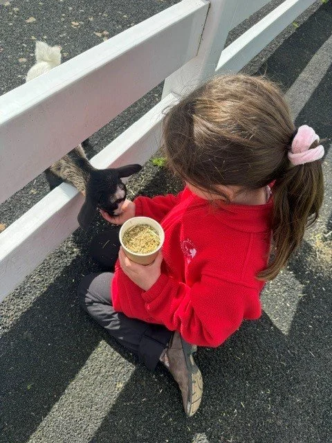 Prep_farm_excursion23.jpg