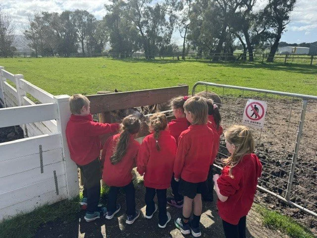 Prep_farm_excursion27.jpg