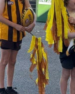 footy_colours02.jpg