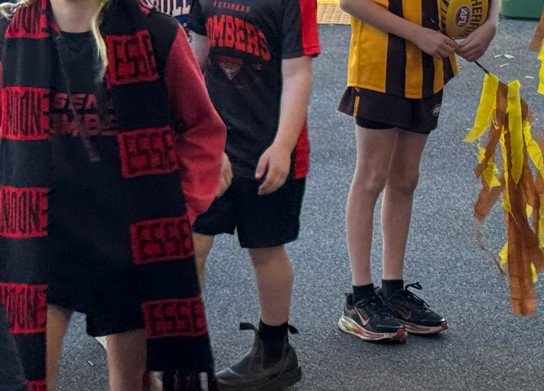 footy_colours01.jpg