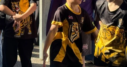 footy_colours07.jpg