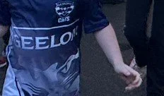 footy_colours13.jpg
