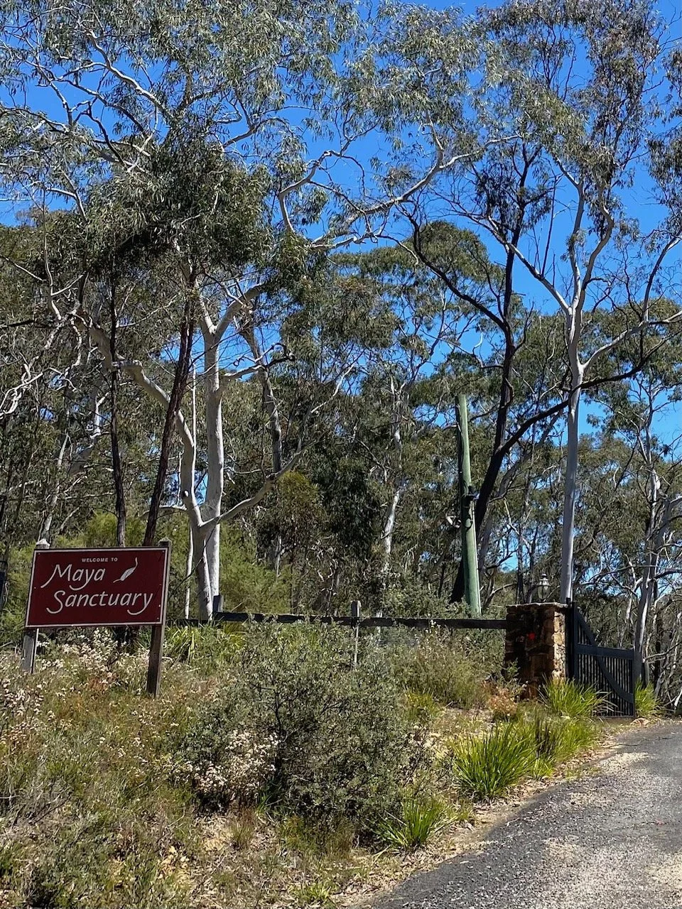 Yoga retreat - driveway entrance