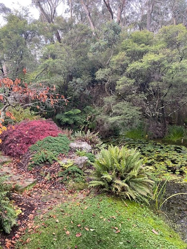 Vipassana - flowers.jpg