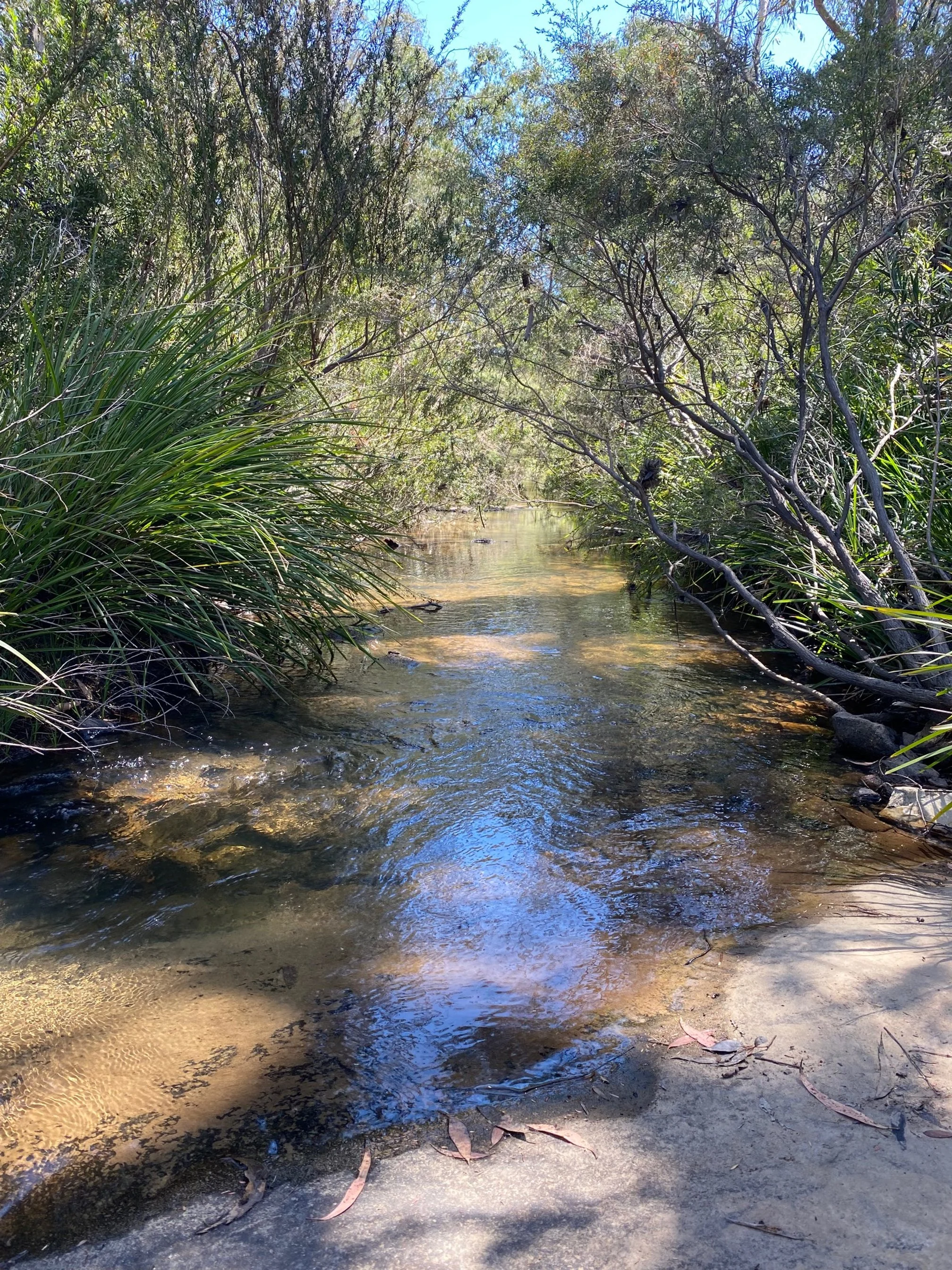 Yoga retreat - creek