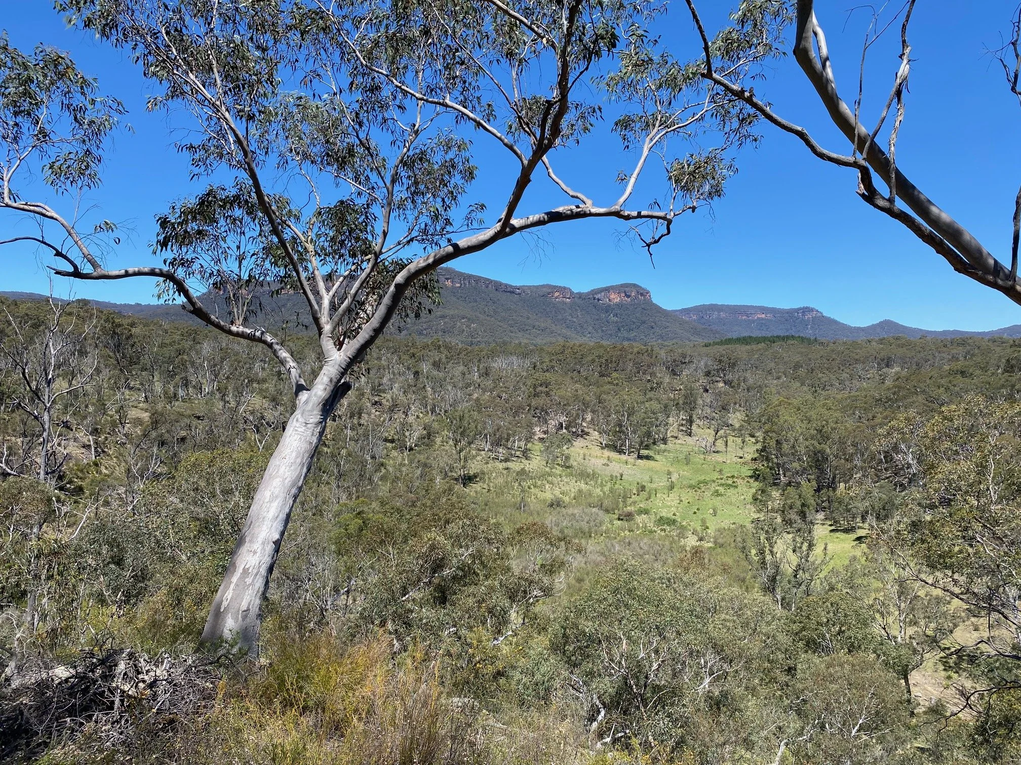 Yoga retreat - bush lookout