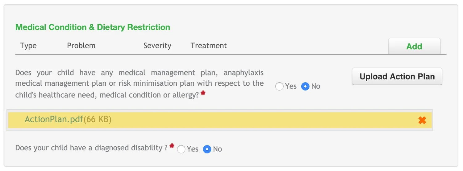 Uploaded ActionPlan.pdf document displayed in My Family Lounge