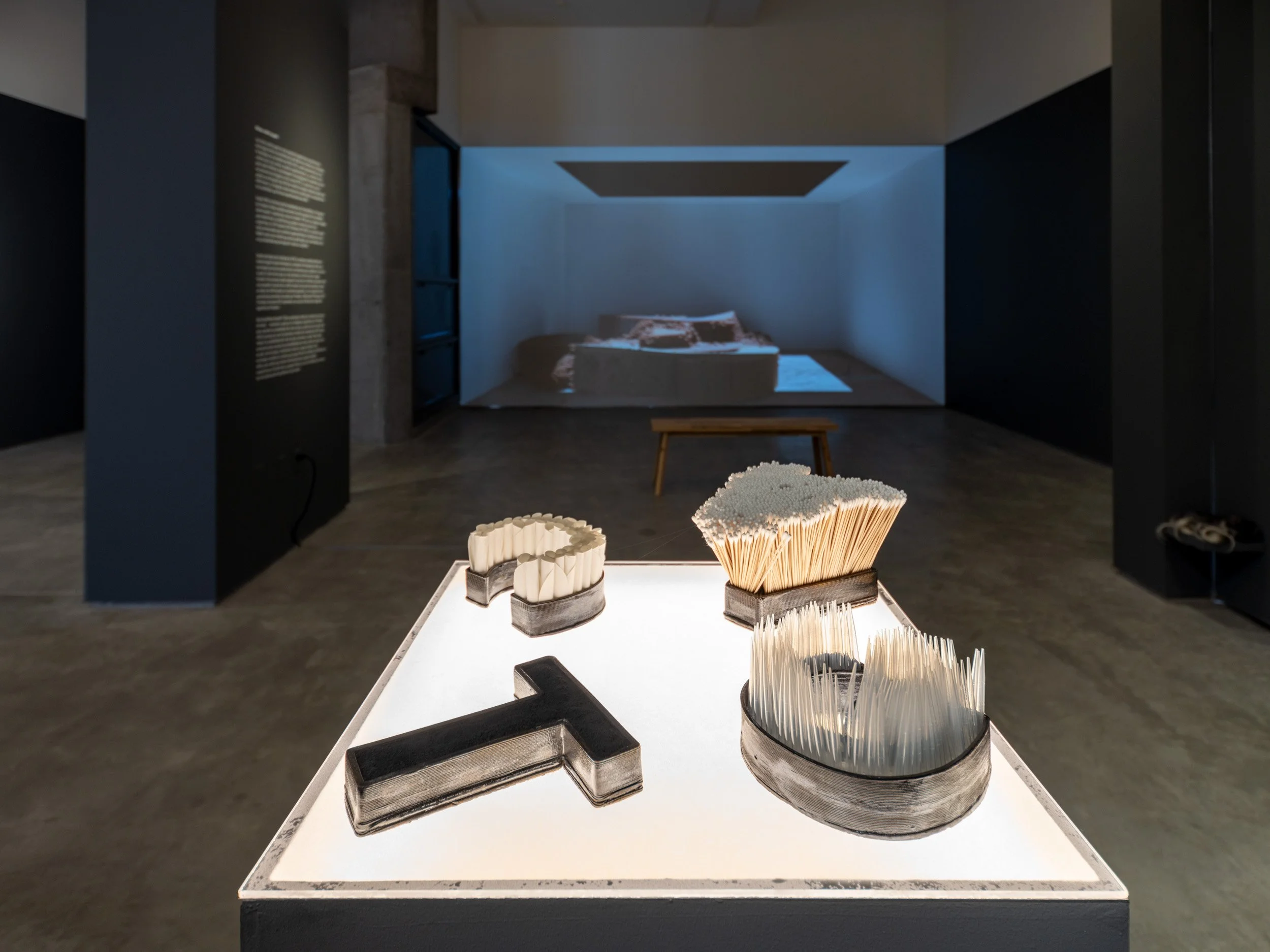 07_ICA_WALTER_DSF5069.jpg