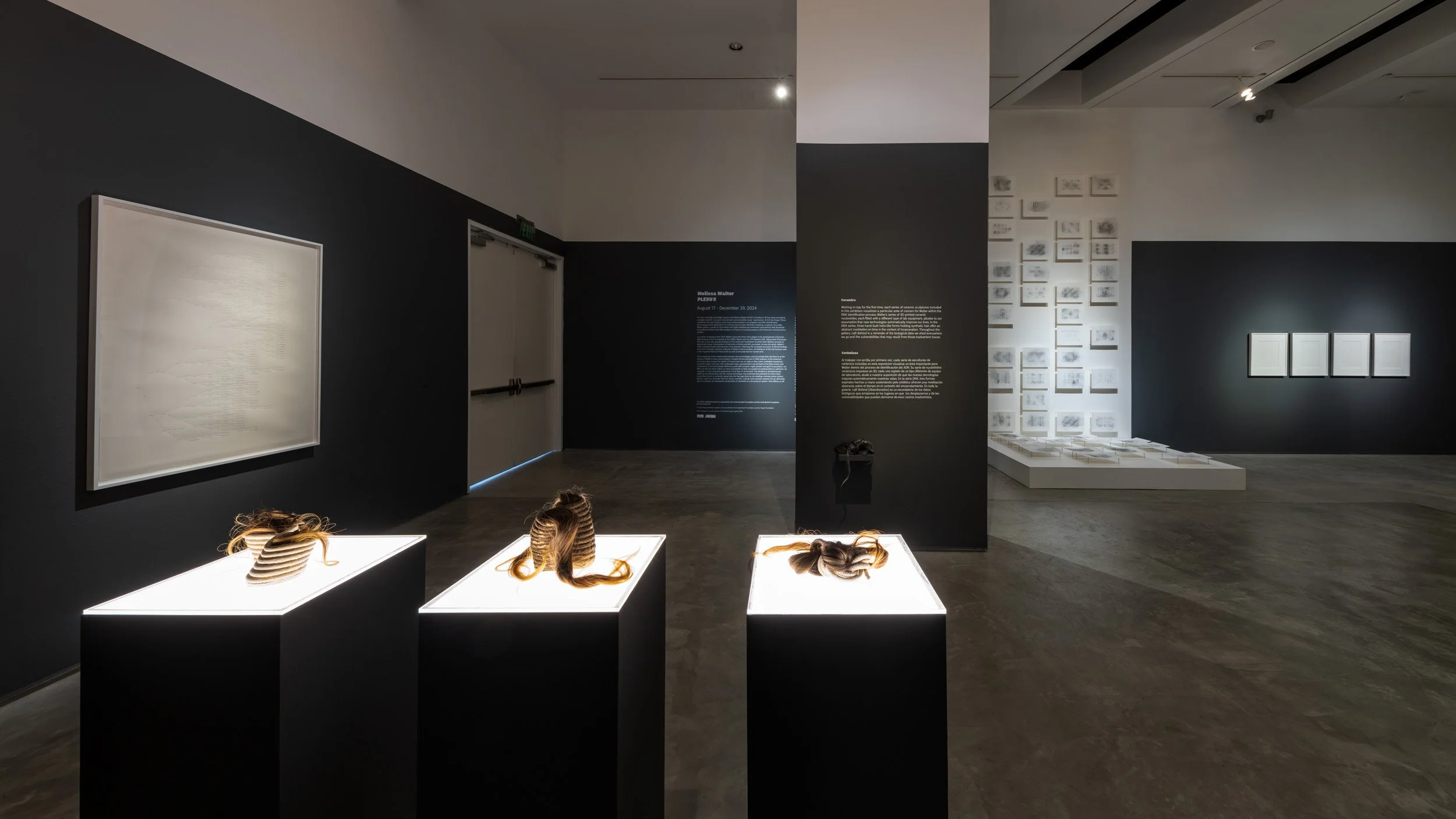 03_ICA_WALTER_DSF5133.jpg
