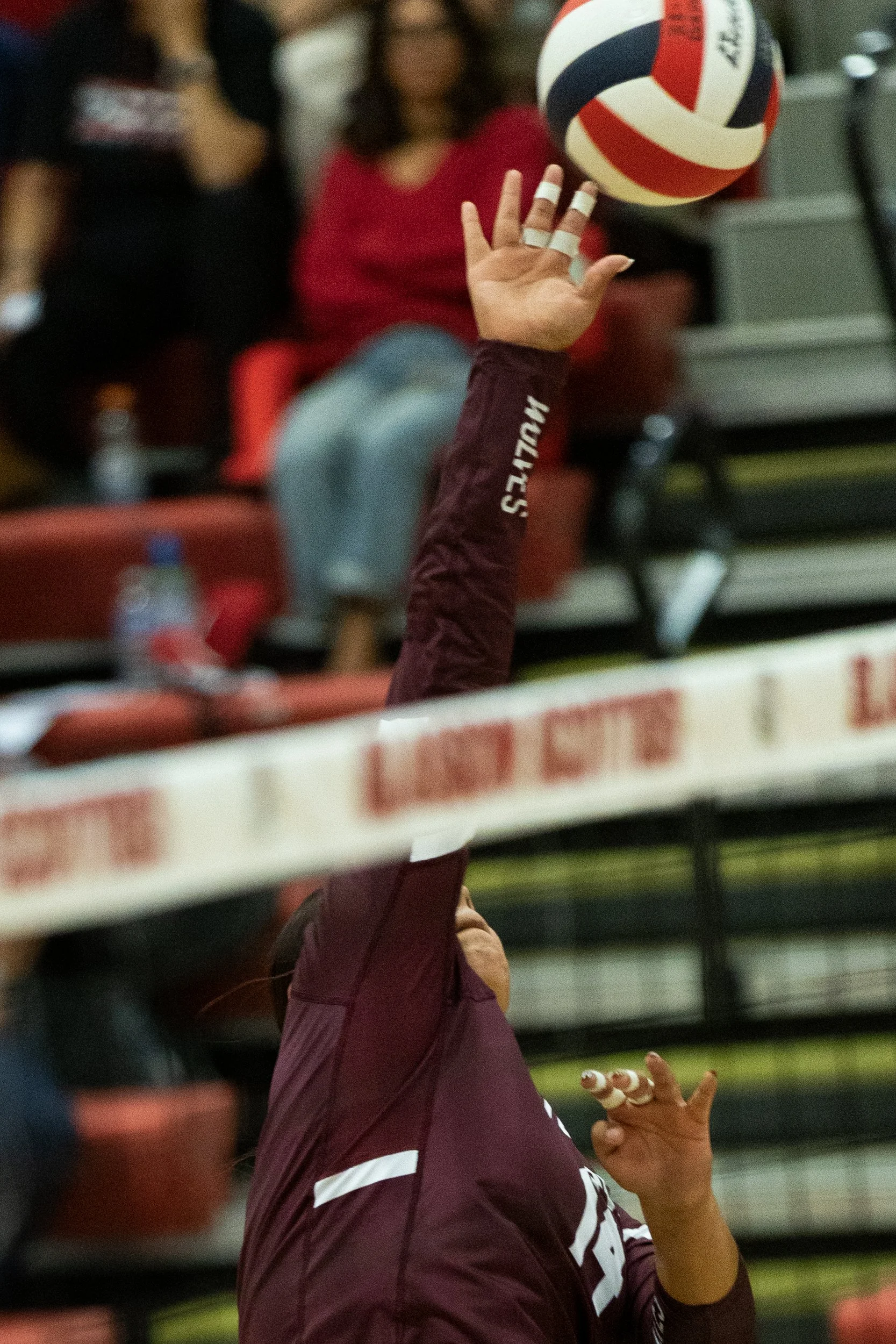 2025_Oct-VBallSeniorNight2025 314215.jpg