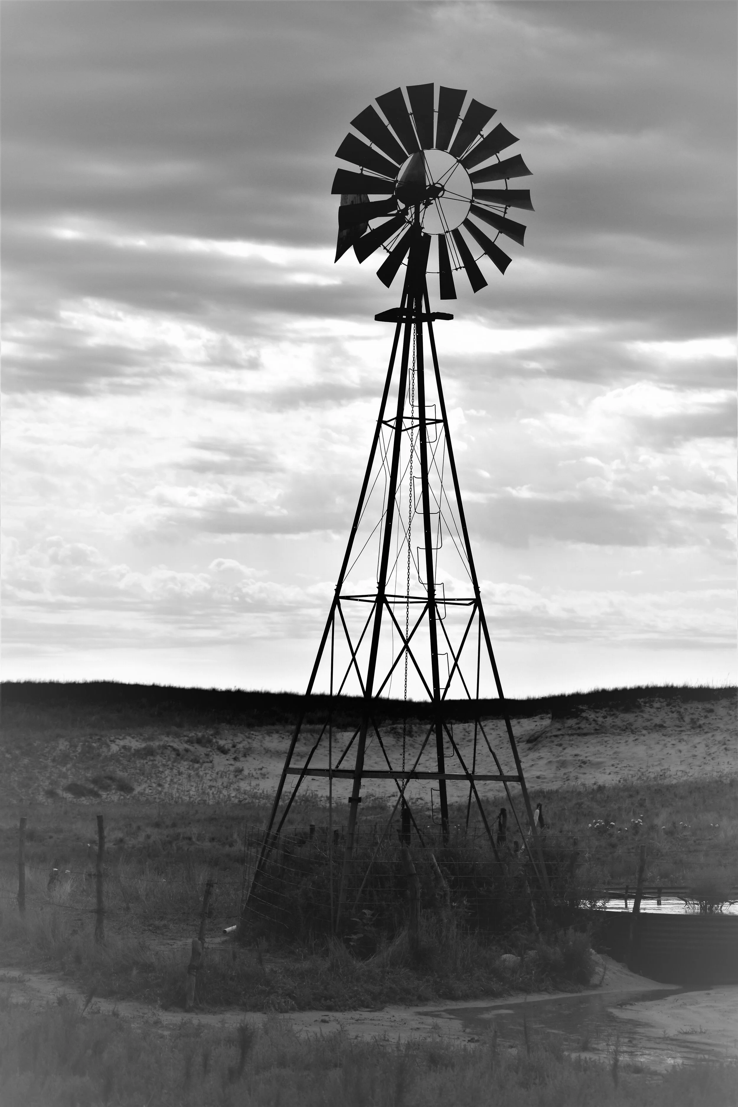 Contact — Loup River Beef