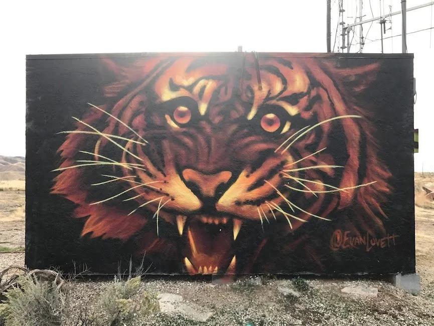 Color Tiger