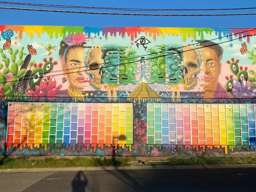 Frida Rainbow