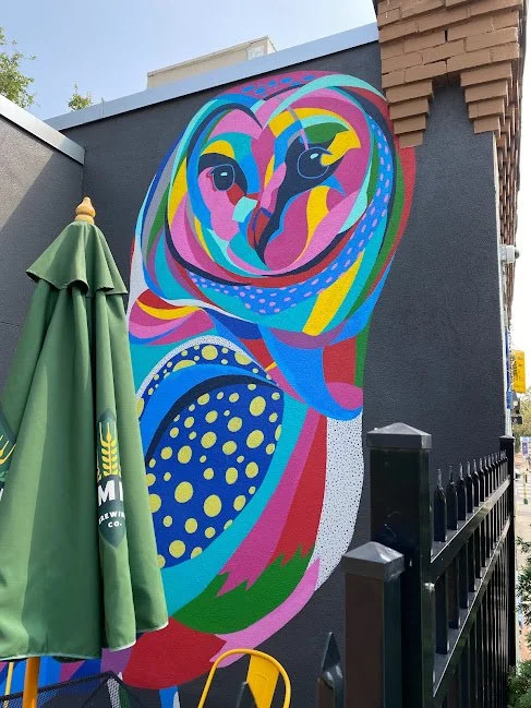 Colorful Owl