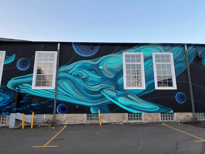 Whales
