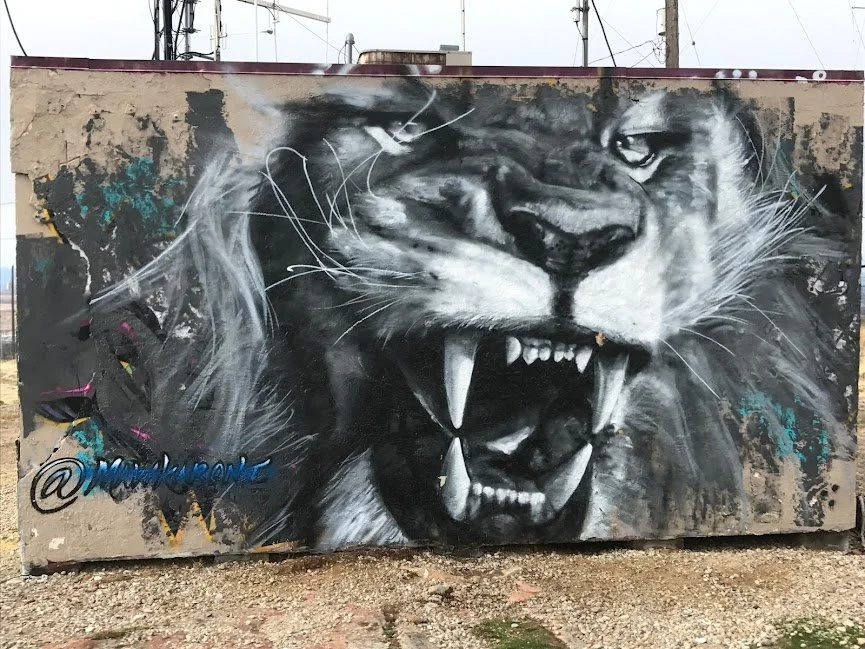 Black and White Tiger