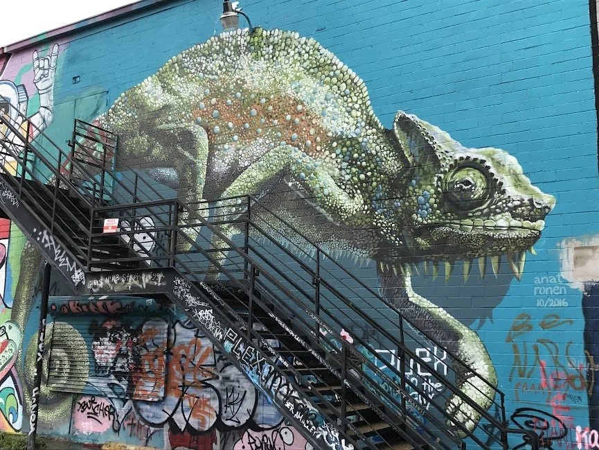 Chameleon