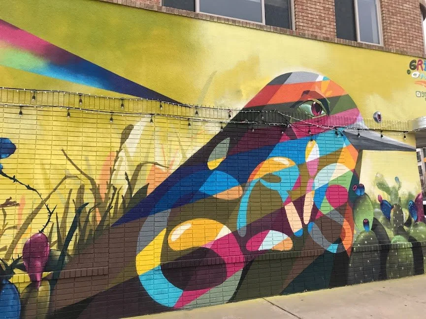 Colorful Bird, Downtown