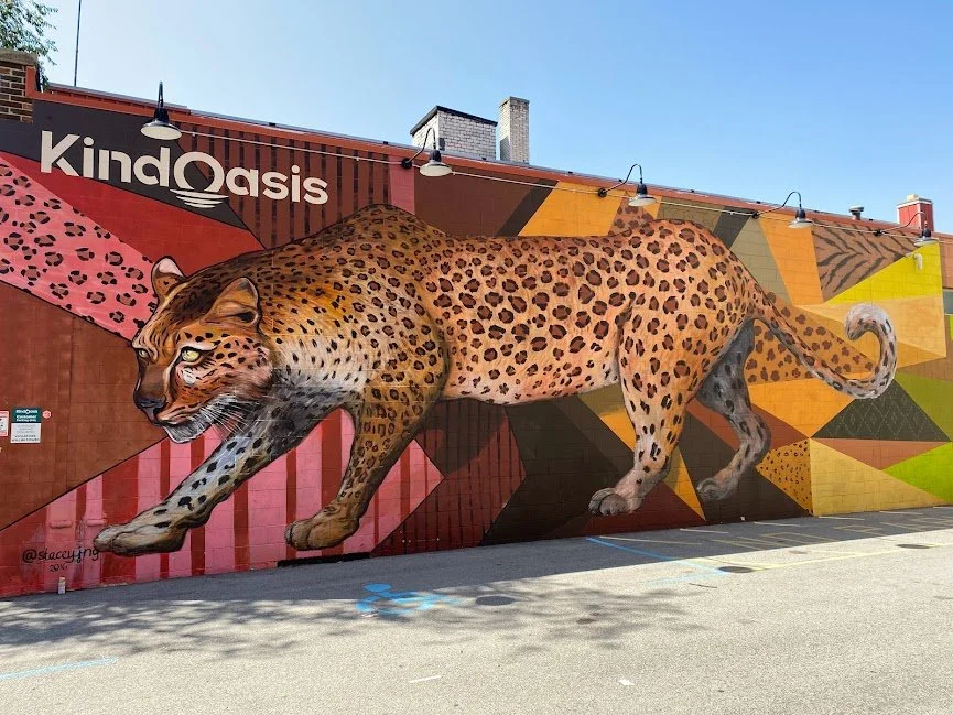 Kind Leopard