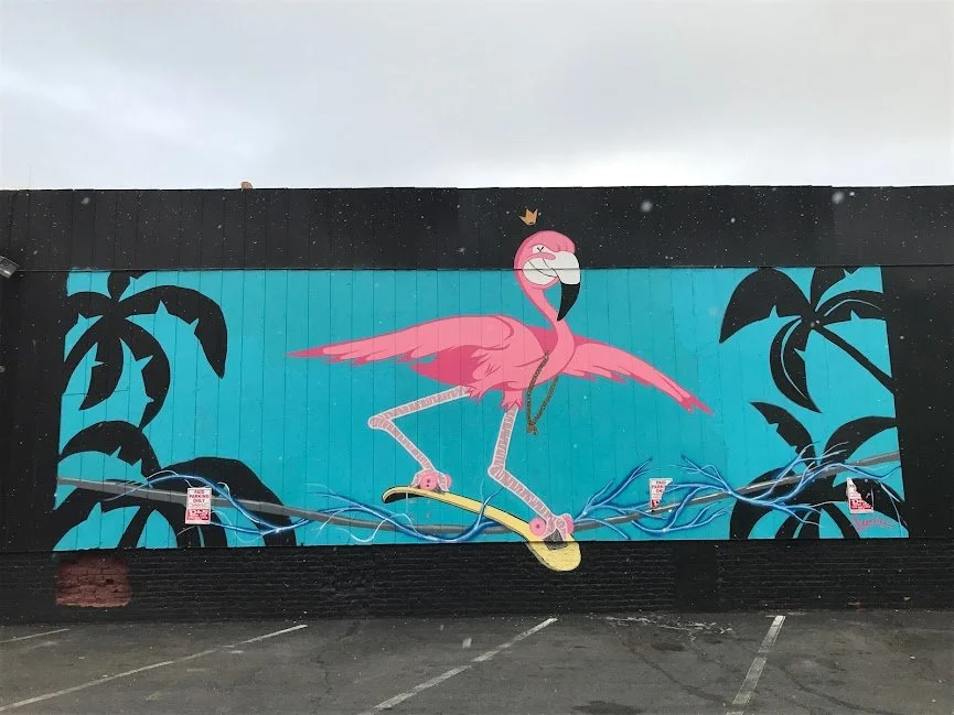 Flamingo