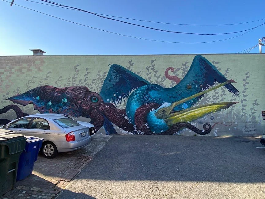 Squid and Bird