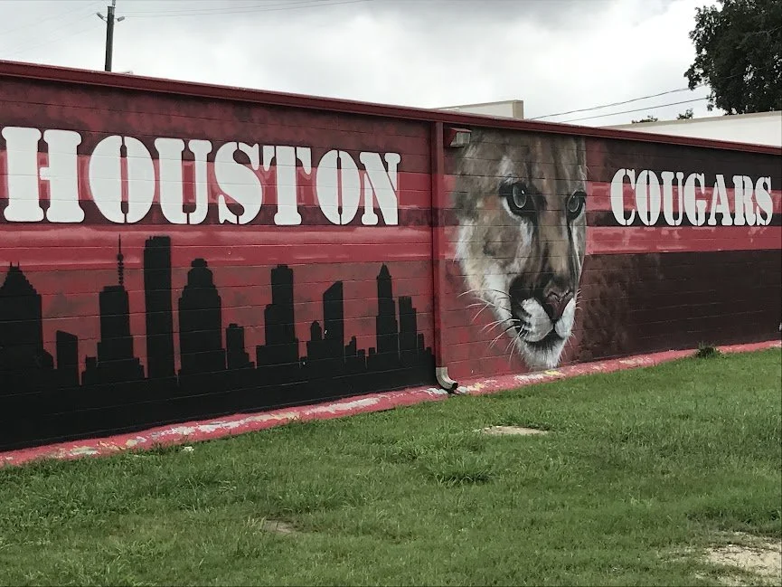 Houston Cougars