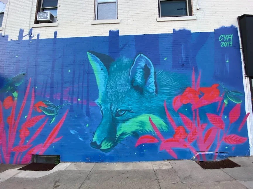 Blue Fox