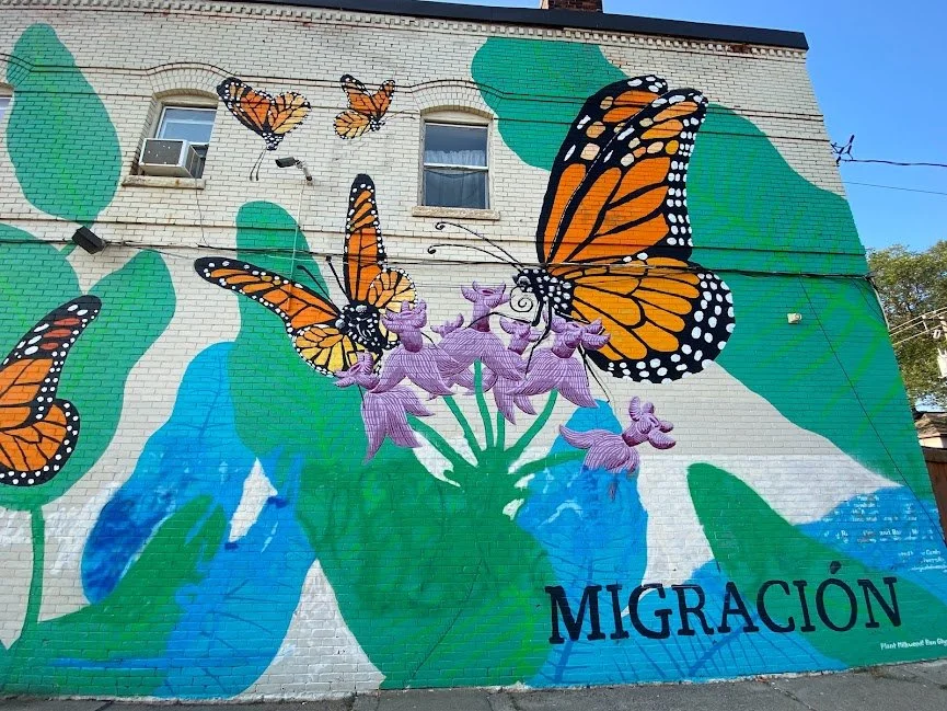 Migracion