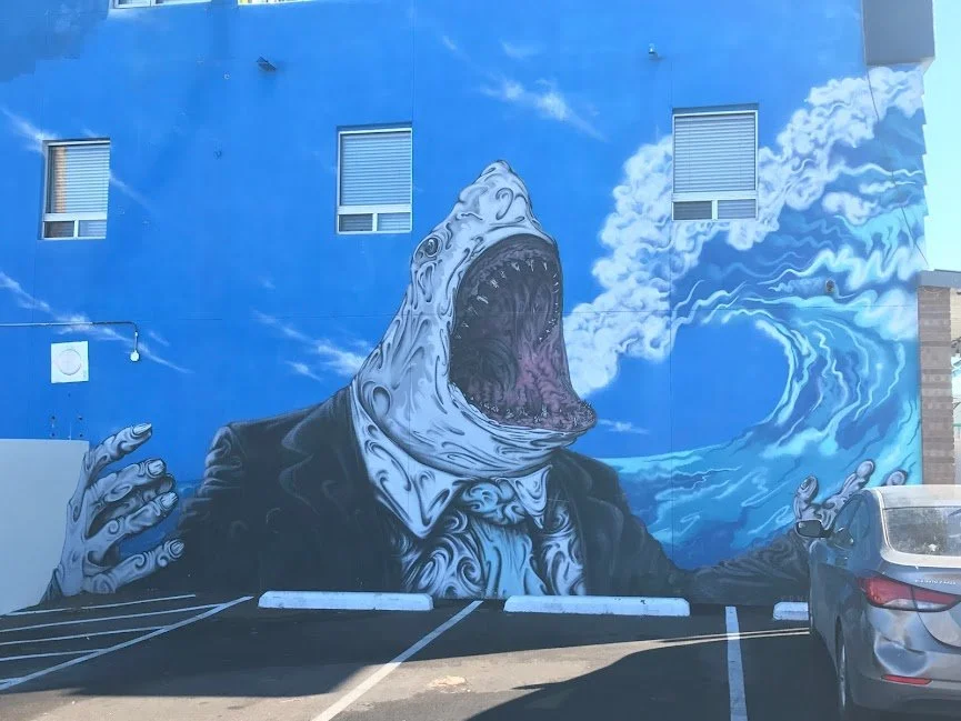 Shark Face, Nob Hill