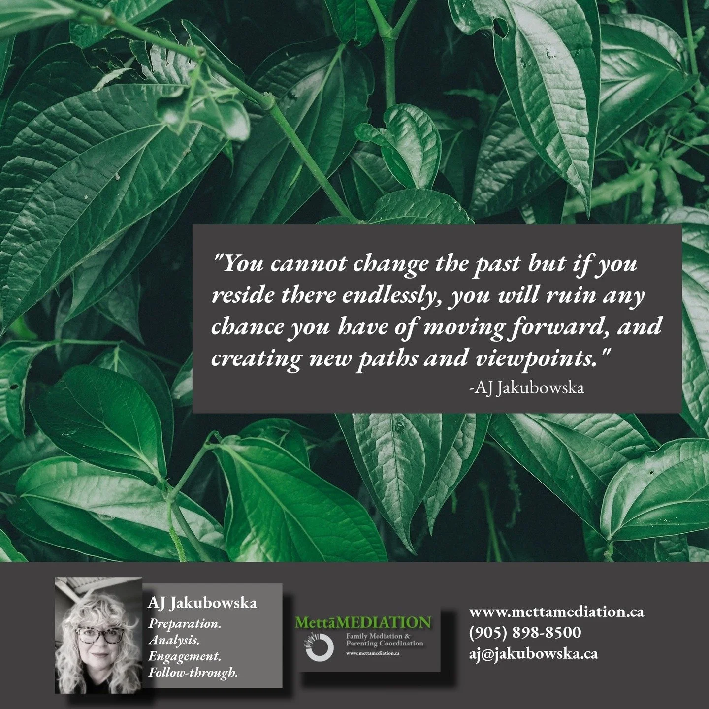 My work as a Parenting Coordinator includes education. Often, conflict persist when parents keep looking in the rearview mirror, and all of their strategies and approaches are based, almost entirely, on &quot;what happened before&quot;. The past is n