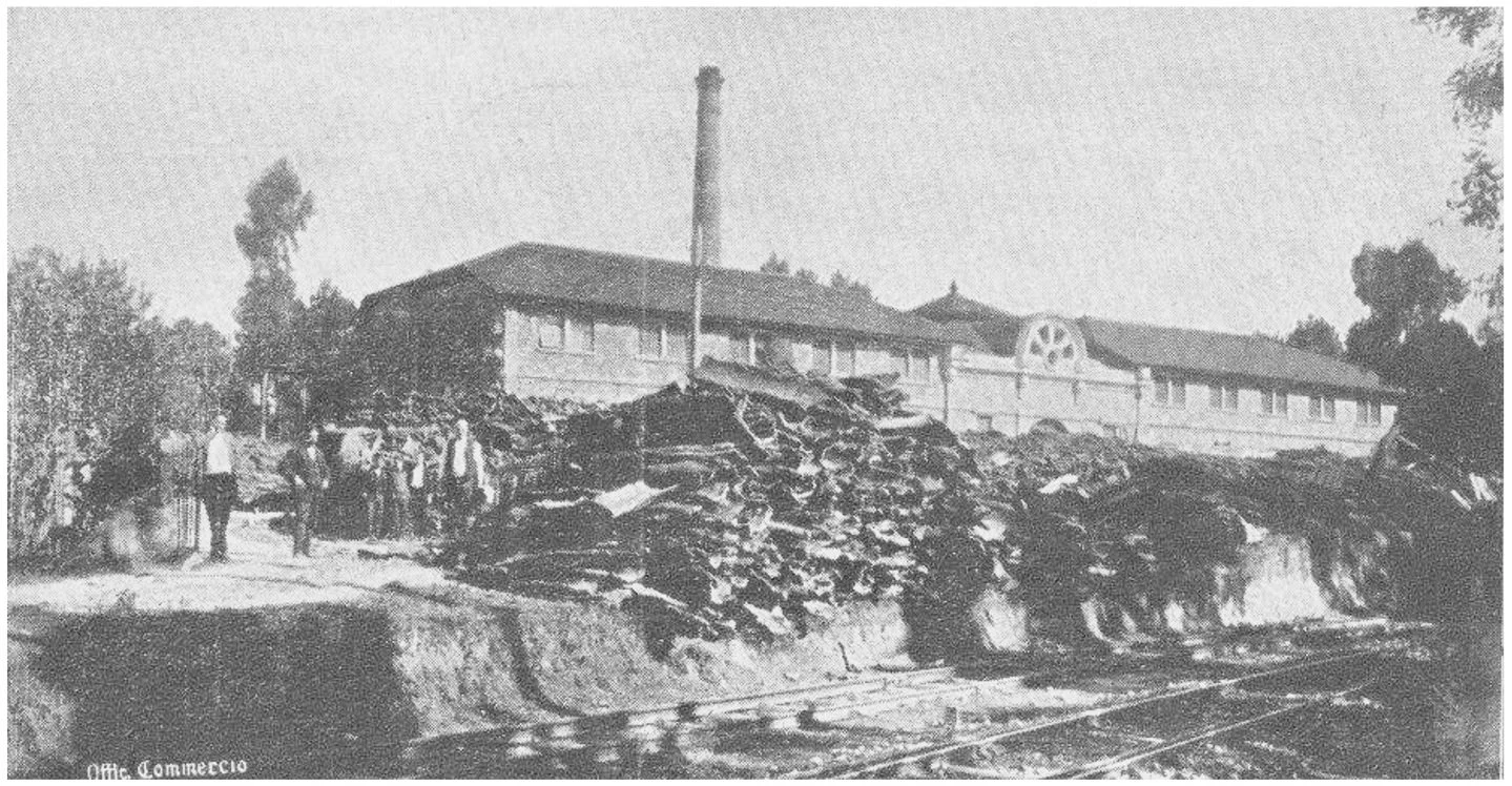 Picture 1.jpg