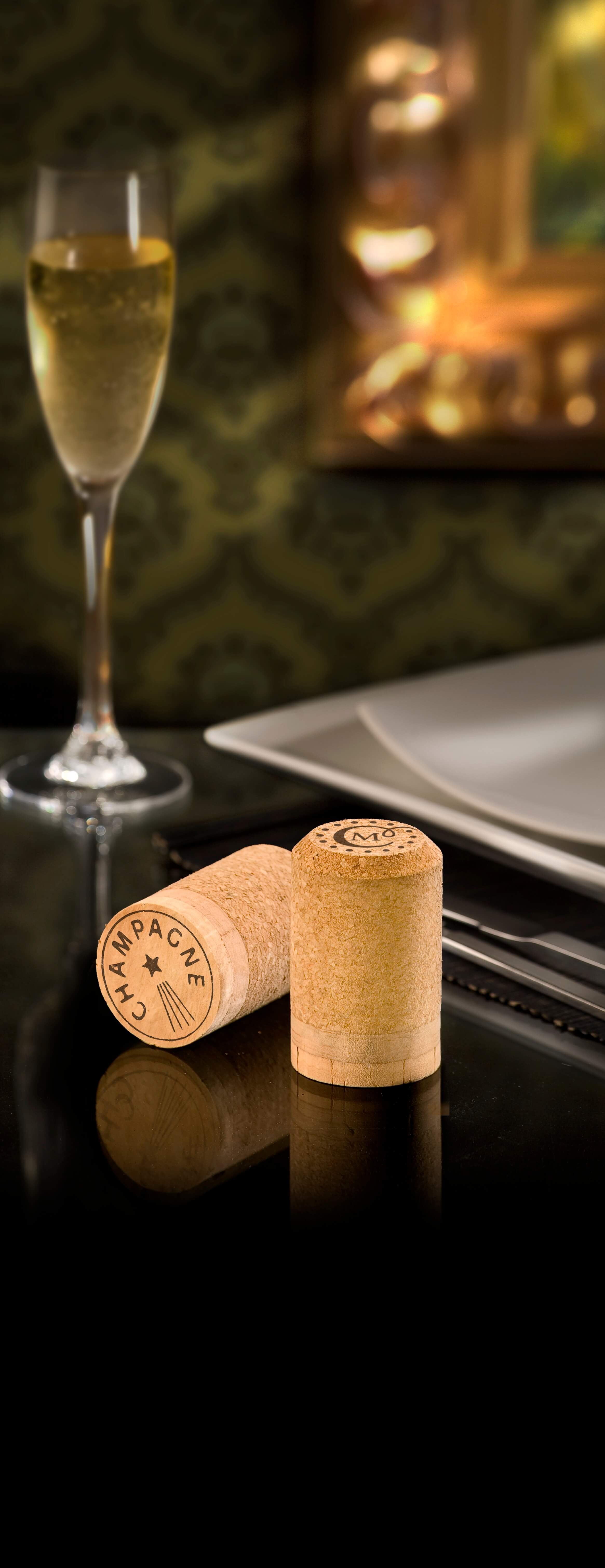 tecnoclassic champagne-cópia (1).jpg
