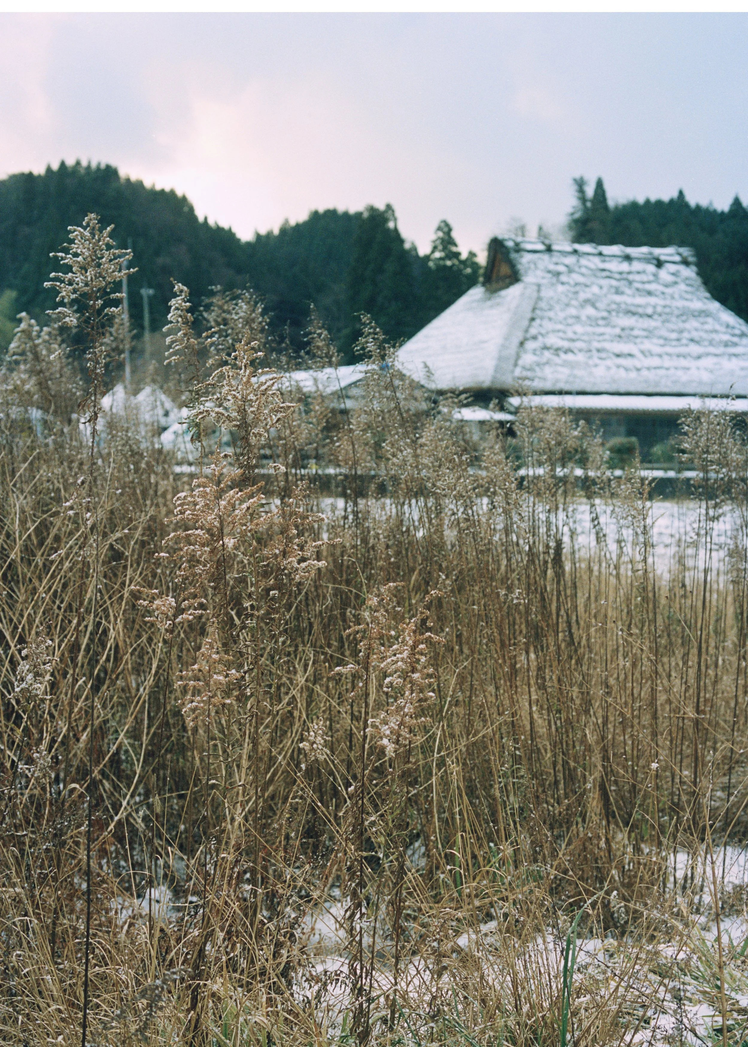 BC7C7F40-F1D2-4DF6-ABE2-712A6324DBD2_1_201_a.jpeg