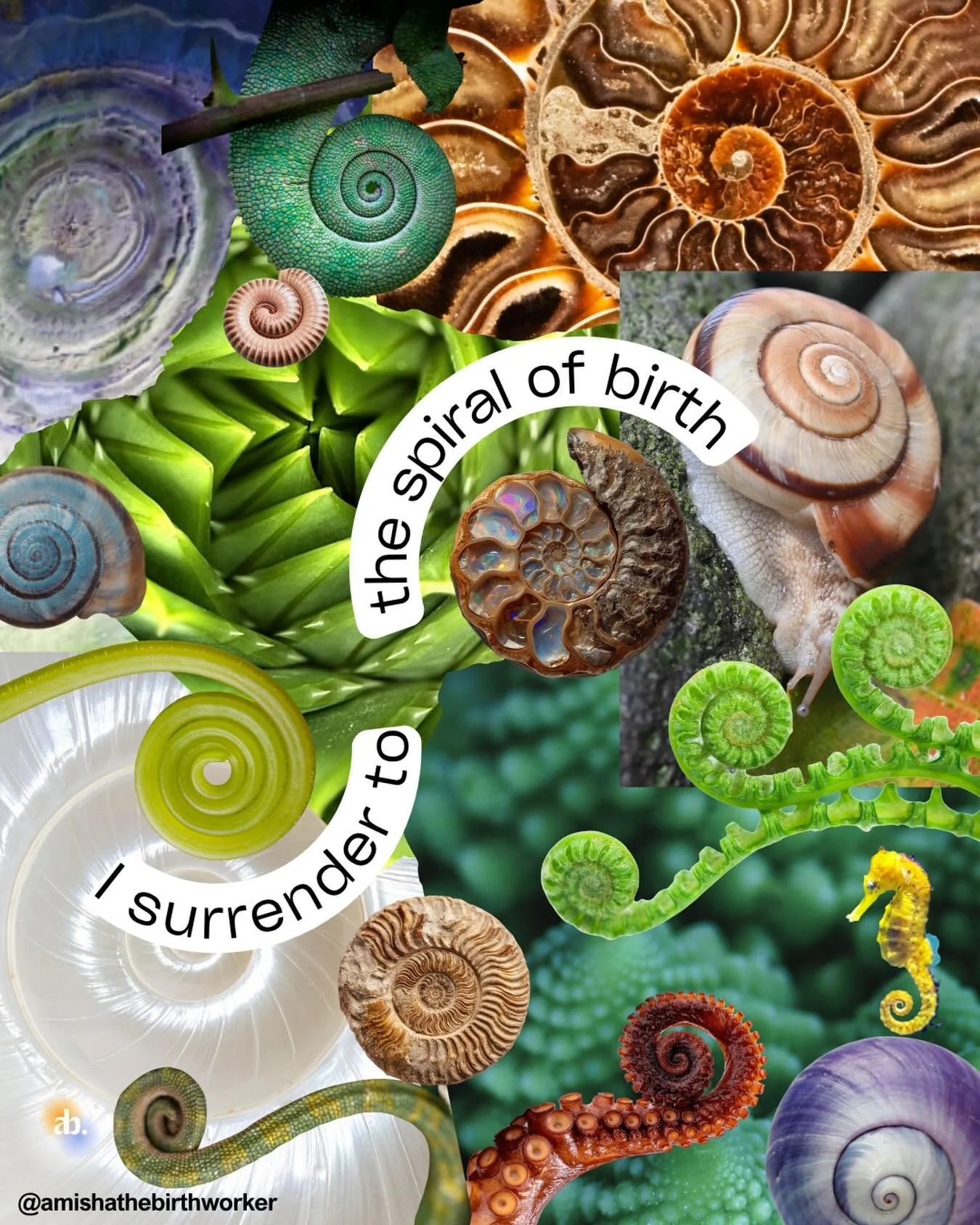 I surrender to the spiral of birth 🌀 

The more births I attend, the more I experience birth as something that unsettles ordinary time altogether. Birth can feel like a portal that opens onto other planes of existence. In some cultures, birthing peo