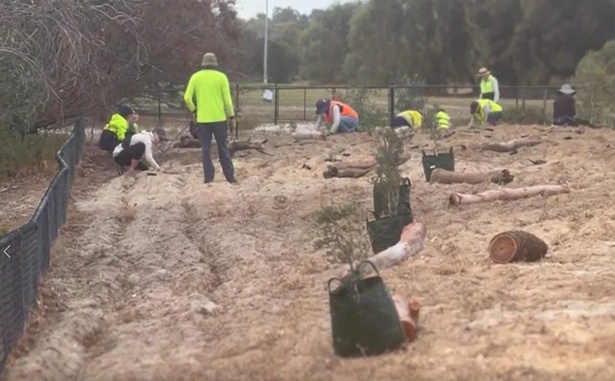 Related Video Item Thumbnail