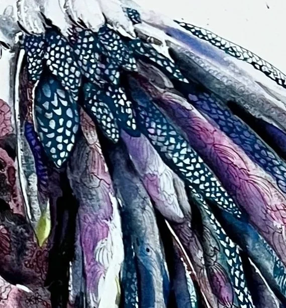detail of wildlife vulture painting by Jos Haigh